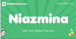 Niazmina arabic girl name and meaning, quranic girls name Niazmina