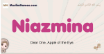 Niazmina muslim girls name and meaning, islamic girls name Niazmina