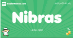 Nibras arabic boys name and meaning, quranic boys name Nibras
