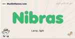Nibras muslim boys name and meaning, islamic boys name Nibras