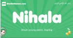Nihala arabic girl name and meaning, quranic girls name Nihala
