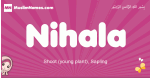 Nihala arabic girls name and meaning, muslim girl name Nihala