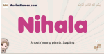 Nihala muslim girls name and meaning, islamic girls name Nihala