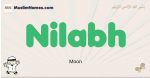 Nilabh muslim boys name and meaning, islamic boys name Nilabh