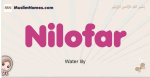 Nilofar muslim girls name and meaning, islamic girls name Nilofar