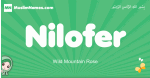 Nilofer arabic girl name and meaning, quranic girls name Nilofer