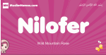 Nilofer arabic girls name and meaning, muslim girl name Nilofer