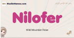 Nilofer muslim girls name and meaning, islamic girls name Nilofer