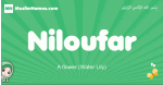 Niloufar arabic girl name and meaning, quranic girls name Niloufar