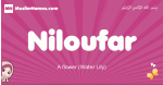 Niloufar arabic girls name and meaning, muslim girl name Niloufar