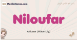 Niloufar muslim girls name and meaning, islamic girls name Niloufar