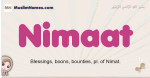 Nimaat muslim girls name and meaning, islamic girls name Nimaat