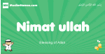 Nimat-ullah arabic boys name and meaning, quranic boys name Nimat-ullah