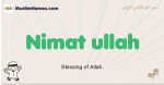 Nimat-ullah muslim boys name and meaning, islamic boys name Nimat-ullah