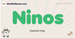 Ninos muslim boys name and meaning, islamic boys name Ninos