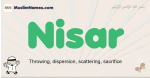 Nisar muslim boys name and meaning, islamic boys name Nisar