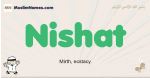 Nishat muslim boys name and meaning, islamic boys name Nishat