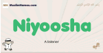 Niyoosha muslim boys name and meaning, islamic boys name Niyoosha