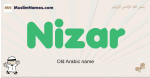Nizar muslim boys name and meaning, islamic boys name Nizar