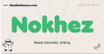 Nokhez muslim boys name and meaning, islamic boys name Nokhez