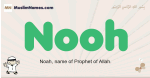 Nooh muslim boys name and meaning, islamic boys name Nooh