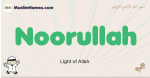 Noorullah muslim boys name and meaning, islamic boys name Noorullah