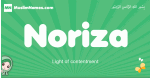 Noriza arabic girl name and meaning, quranic girls name Noriza