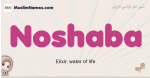 Noshaba muslim girls name and meaning, islamic girls name Noshaba