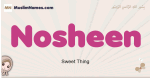 Nosheen muslim girls name and meaning, islamic girls name Nosheen
