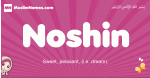 Noshin arabic girls name and meaning, muslim girl name Noshin