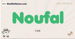 Noufal muslim boys name and meaning, islamic boys name Noufal