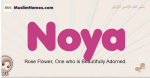Noya muslim girls name and meaning, islamic girls name Noya
