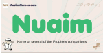 Nuaim muslim boys name and meaning, islamic boys name Nuaim
