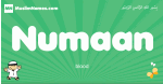 Numaan arabic boys name and meaning, quranic boys name Numaan