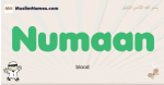 Numaan muslim boys name and meaning, islamic boys name Numaan