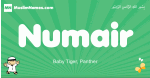 Numair arabic boys name and meaning, quranic boys name Numair