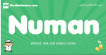 Numan arabic boys name and meaning, quranic boys name Numan