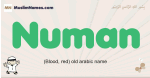 Numan muslim boys name and meaning, islamic boys name Numan
