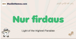 Nur-firdaus muslim boys name and meaning, islamic boys name Nur-firdaus