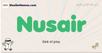 Nusair muslim boys name and meaning, islamic boys name Nusair