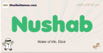 Nushab muslim boys name and meaning, islamic boys name Nushab