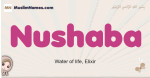 Nushaba muslim girls name and meaning, islamic girls name Nushaba