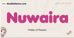 Nuwaira muslim girls name and meaning, islamic girls name Nuwaira