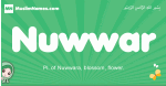 Nuwwar arabic girl name and meaning, quranic girls name Nuwwar