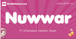 Nuwwar arabic girls name and meaning, muslim girl name Nuwwar