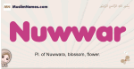 Nuwwar muslim girls name and meaning, islamic girls name Nuwwar