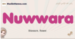 Nuwwara muslim girls name and meaning, islamic girls name Nuwwara