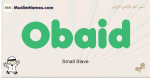 Obaid muslim boys name and meaning, islamic boys name Obaid