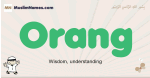 Orang muslim boys name and meaning, islamic boys name Orang