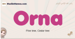 Orna muslim girls name and meaning, islamic girls name Orna